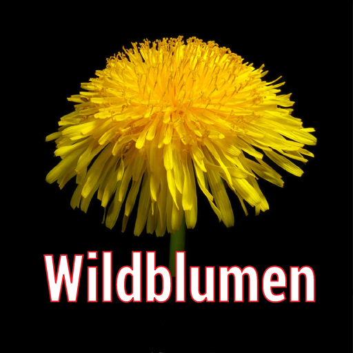 Wildblumen logo