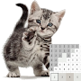 Cloring image cat with pixel a
