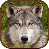 Extreme Wild Wolf Simulator 3d icon