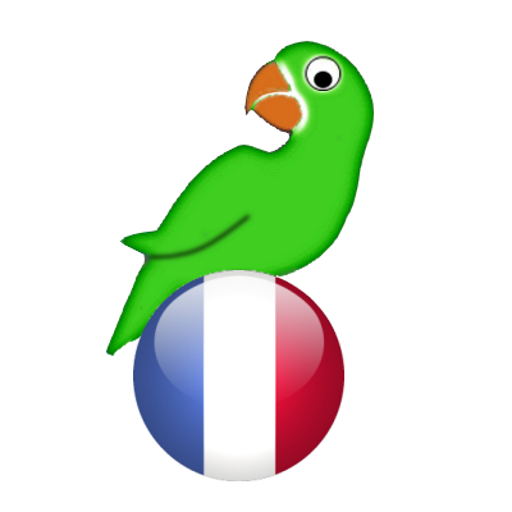 Learn French from scratch full 29.7 Icon