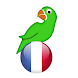Learn French from scratch full - Androidアプリ