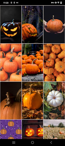 Pumpkin Wallpapers Screenshot 2 - AppWisp.com
