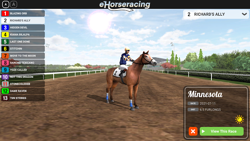 eHorseracing.com Race Viewer Screen 2