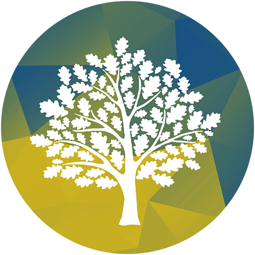 Church of A New Revelation logo