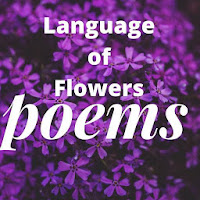 The Language of Flowers Poems