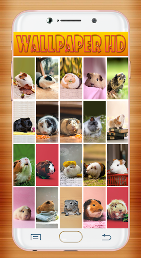 Guinea Pig Wallpaper screenshot 1