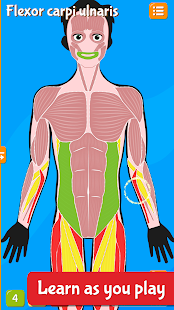 Anatomix - Human Anatomy 1.5.0 screenshots 2