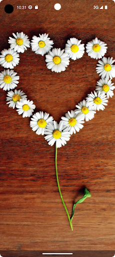 Flower Wallpapers in HD 4K