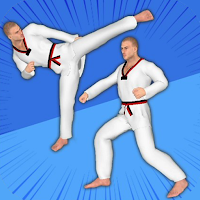 Karate Sensei