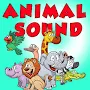 Animal Sound For Kids