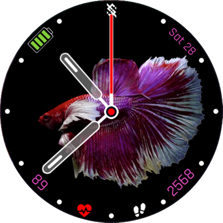 BFF28 - Animation Siamese Fish screenshot 16