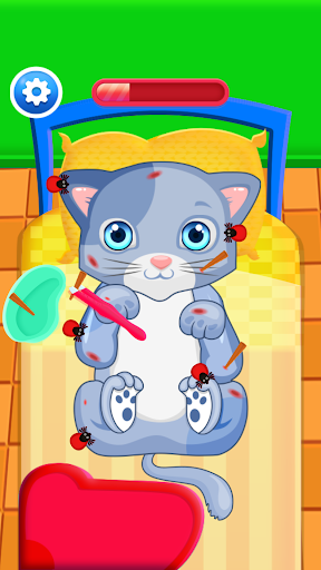 Kitten DoctorPet Hospital