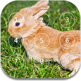 Bunny password Lock Screen icon