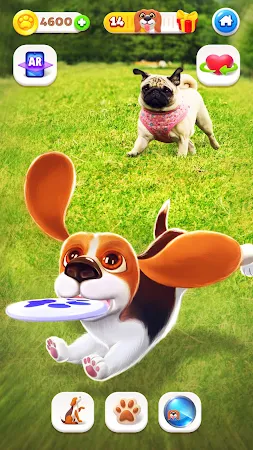 Game screenshot Tamadog - Puppy Pet Dog Games apk download