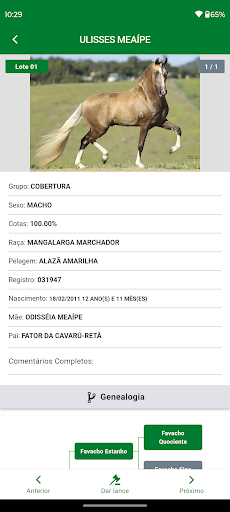 Fiel Leilões Screen 3