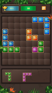 Block Puzzle 24