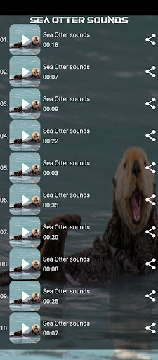 Sea Otter sounds Screen 2