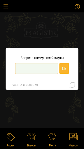 Магистр Screen 2