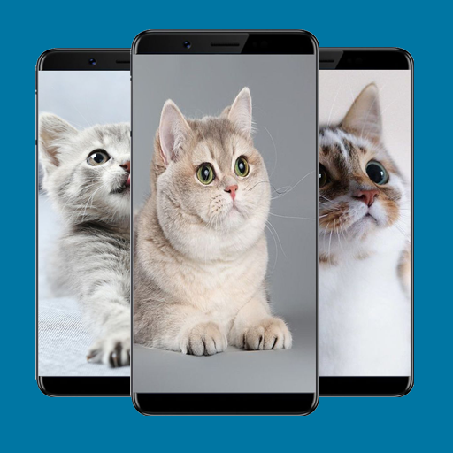 Cute Cat Wallpapers logo