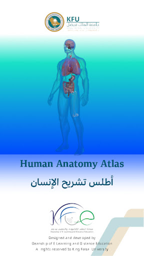 KFU Human Anatomy Atlas Screen 2