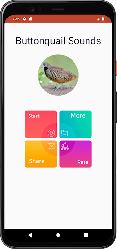 Buttonquail Sounds Screen 2