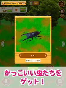 虫コレクション Google Play のアプリ