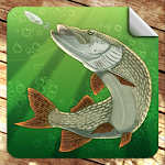 Cover Image of Download Мобильная русская рыбалка  APK