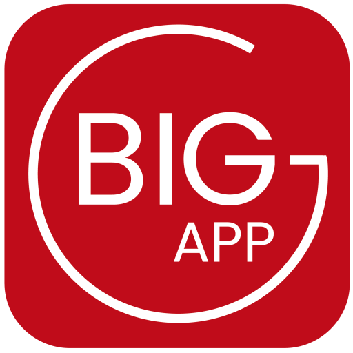 BIGAPP logo