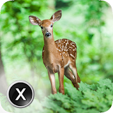 Wildlife - Xperien Theme icon