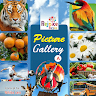 Picture Gallery A