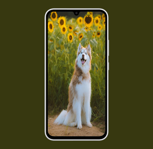 dog wallpaper 2024 Screen 2