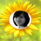 Photo In Sunflower frames icon