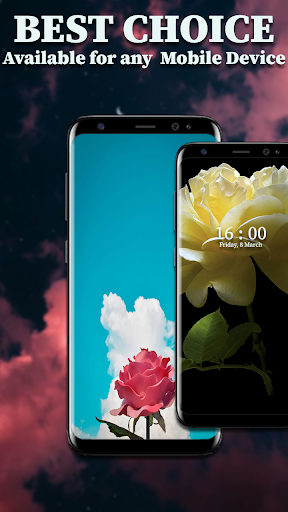 Rose Wallpaper HD Screen 3