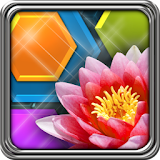 HexLogic - Flowers icon