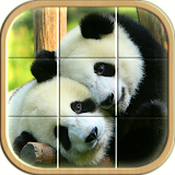 Puzzle Tiles - Fun Brain Game! icon