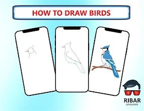 كيفية رسم الطيور التطبيقات على Google Play