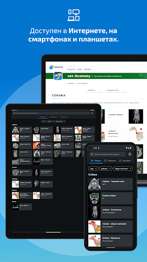 IMAIOS vet-Anatomy screenshot 8