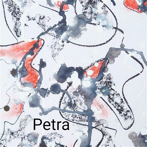 Petra Dippold-Goetz logo