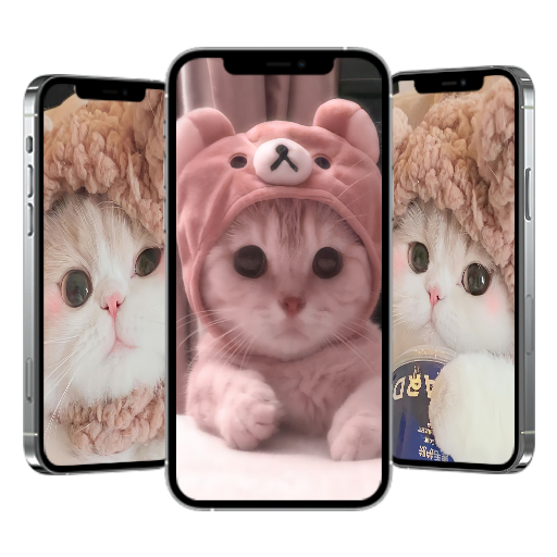 Cat Wallpapers  Icon