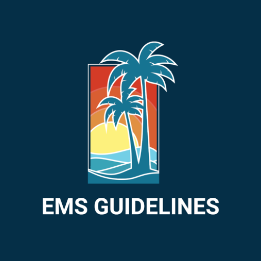Lee County Florida Guidelines  Icon