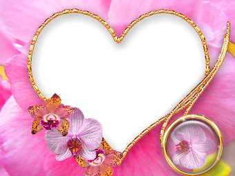 Love Photo frame & collage