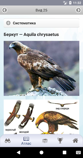 EcoGuide: Russian Birds Screen 2
