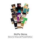 McPe Skins icon