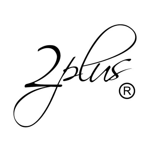 2plus Download on Windows