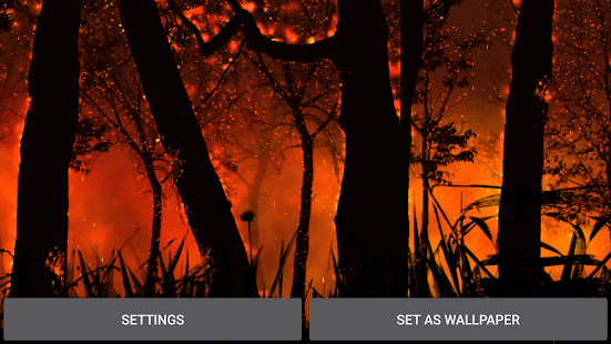 Burning Forest Live Wallpaper Tangkapan layar