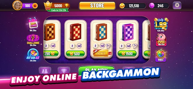 Backgammon Plus – Board Game 1