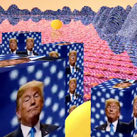 Presidential Election Campaign