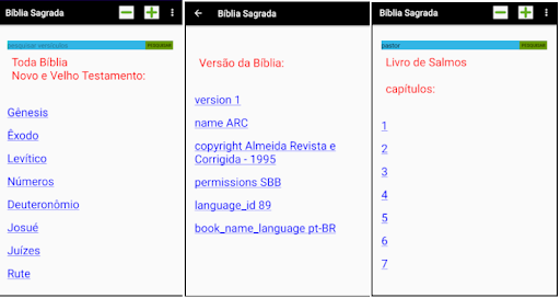 Bíblia Sagrada várias versões Screen 2