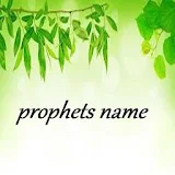 Prophets name icon