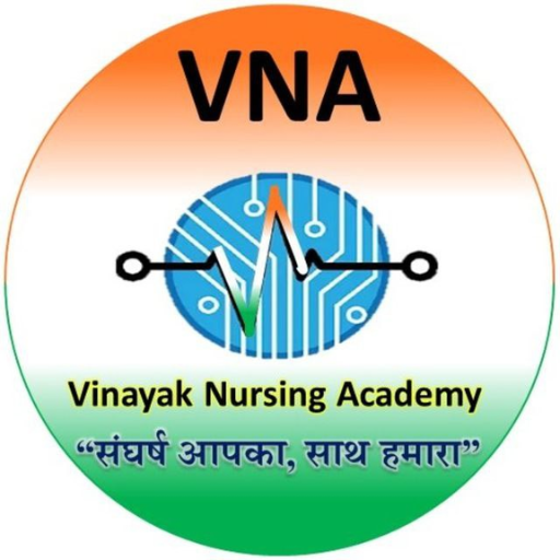 Vinayak Nursing Academy (VNA) logo